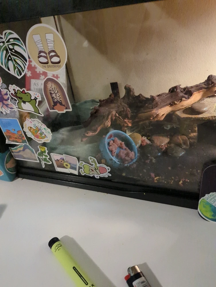 Witty and Cunning title