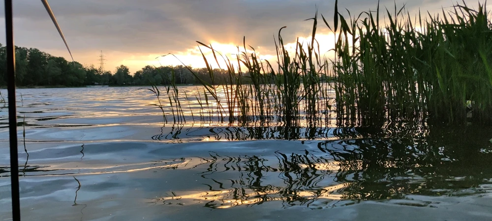 Зображення завантажив Олексій
