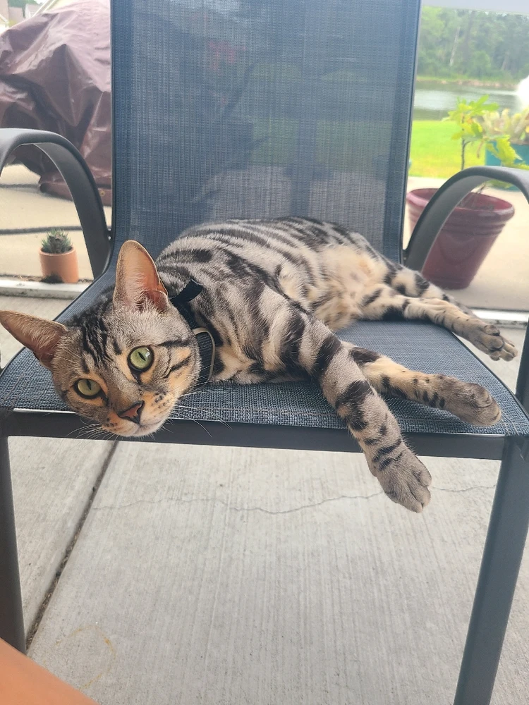 Image uploaded by Elena