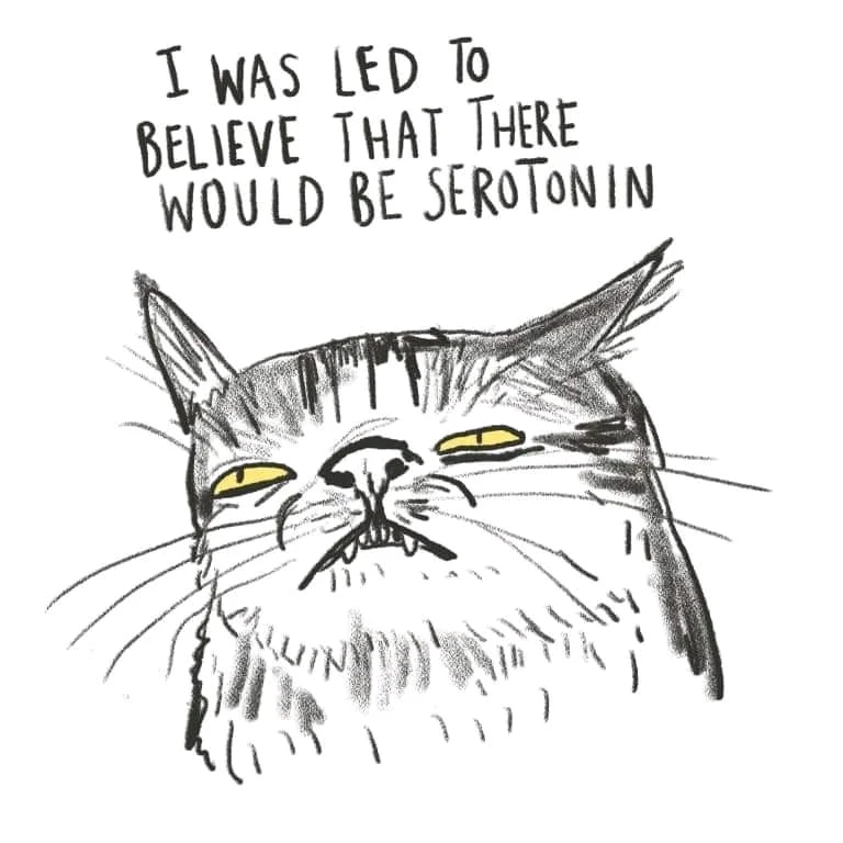 Mi cara luego de entender cómo funciona esta app...