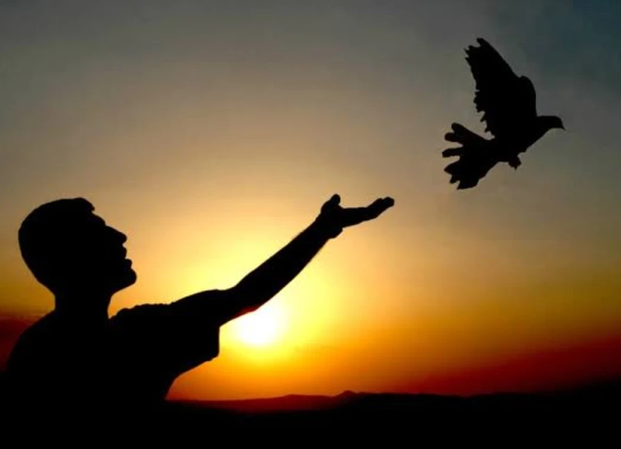 Ferdi tarafından yüklenen görsel