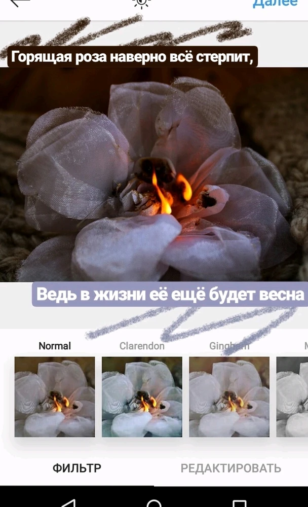 Фото загрузил Милена