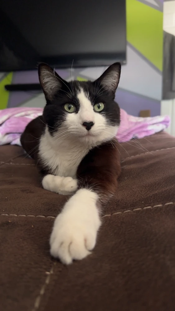 Image uploaded by Sammi