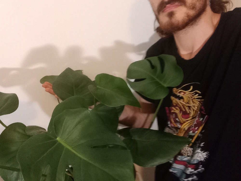 Immagine caricata da Stev