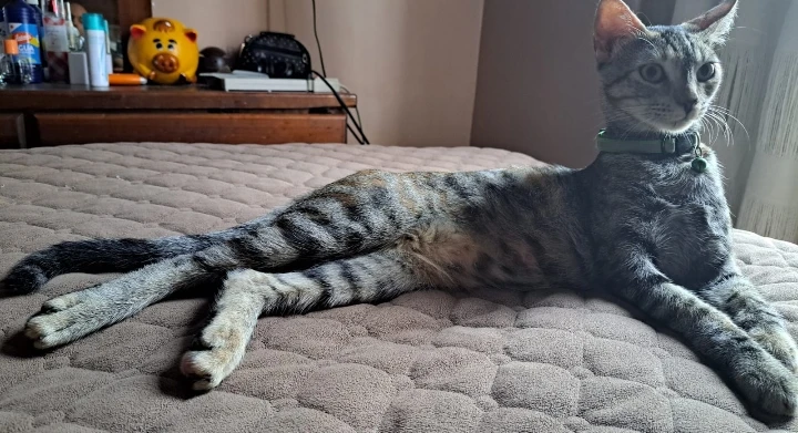 Imagen subida por Marilú