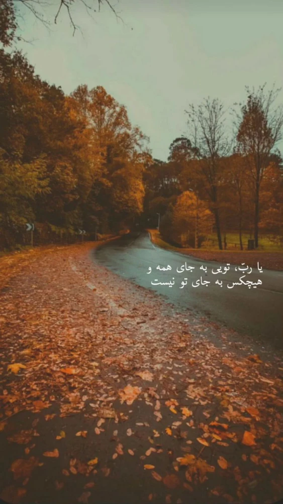 تصویر آپلود شده توسط mostafa