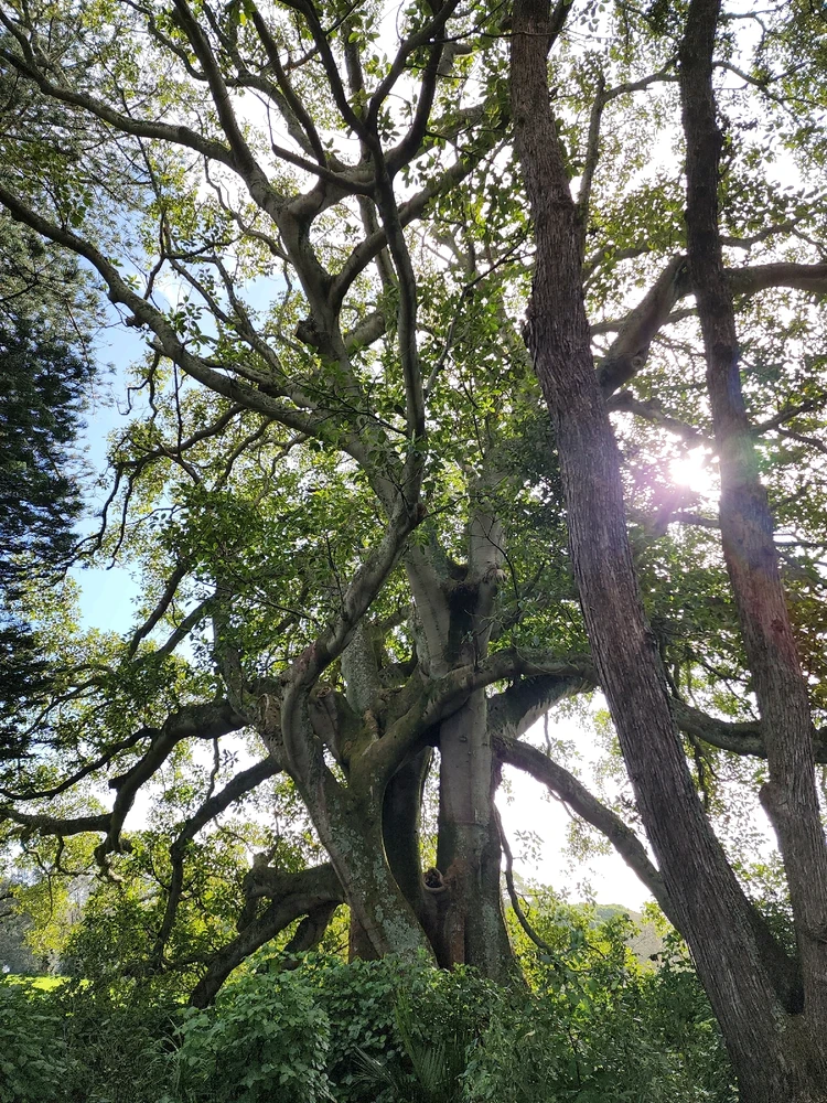 Image uploaded by Steve