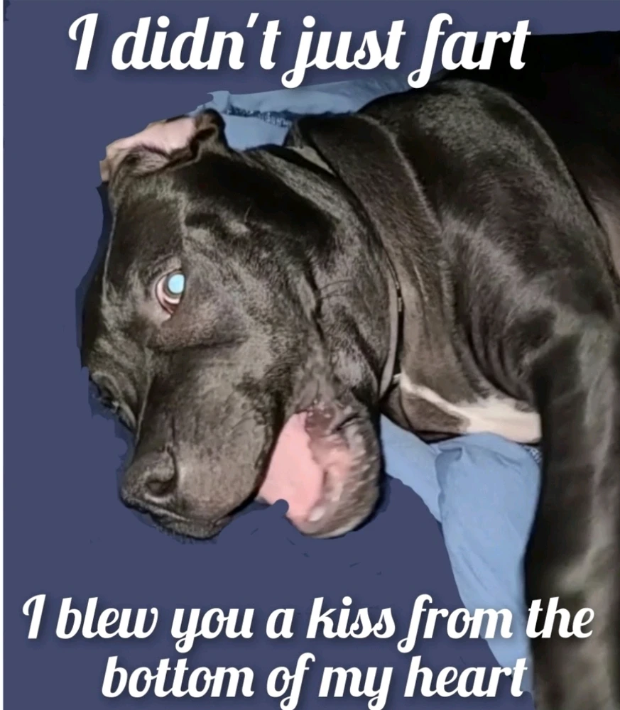 Bitchgoddess上傳的圖片