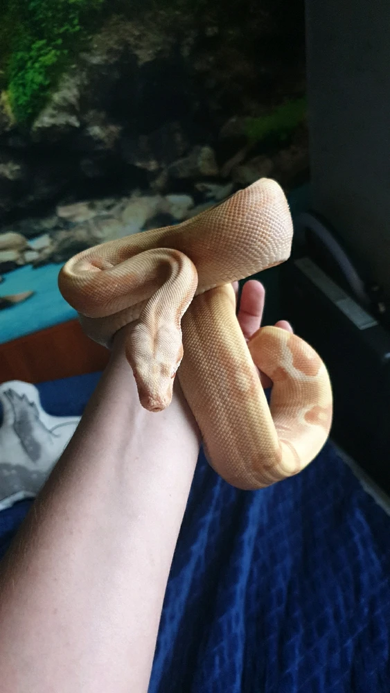 Zdjęcie dodane przez Krzysztof