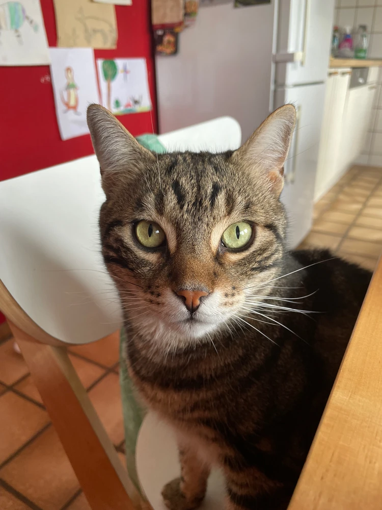 Bild hochgeladen von Andreas