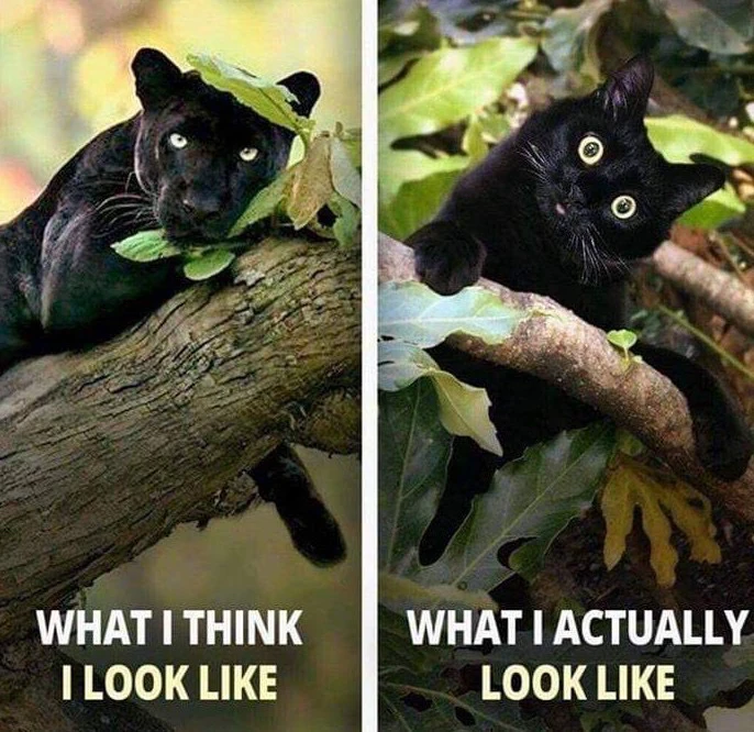 Bild hochgeladen von Andreas