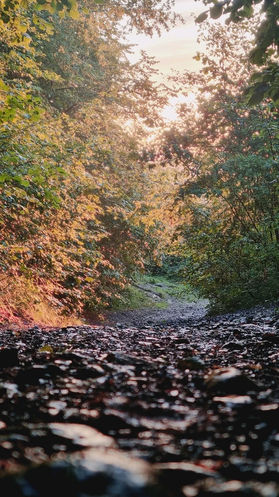 Фото загрузил Arsen