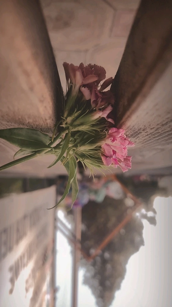 Image uploaded by Abu Qaif