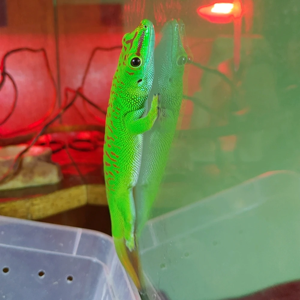 Zdjęcie dodane przez Szymon