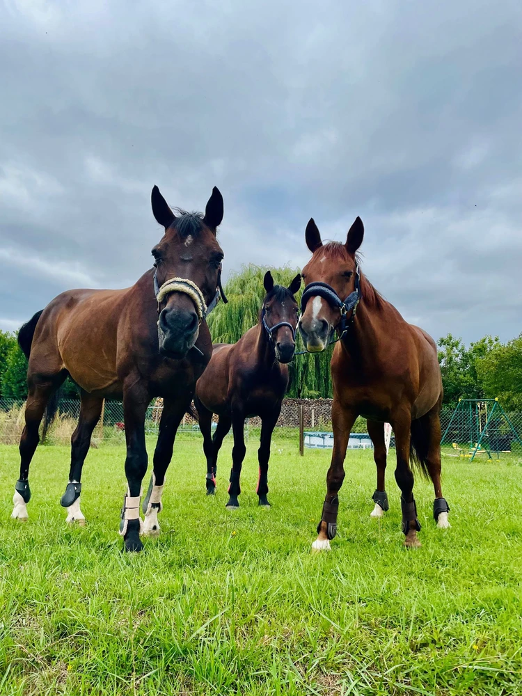 Image ajoutée par Audrey