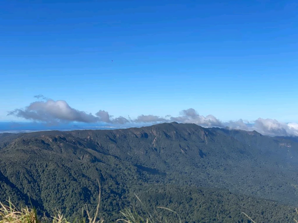 Image uploaded by Viswa