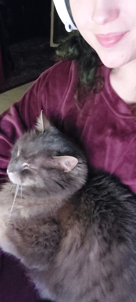 Image uploaded by Maeve