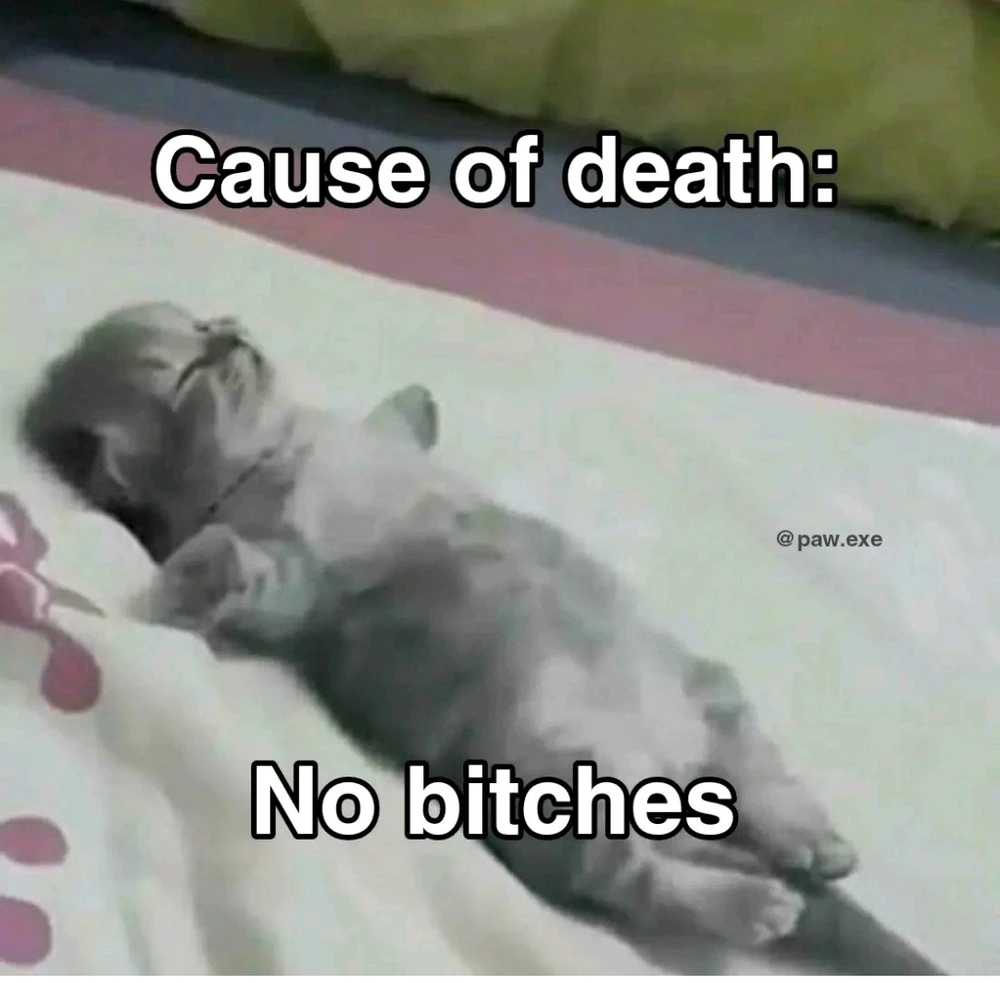 Duab xa los ntawm Boo Hoo