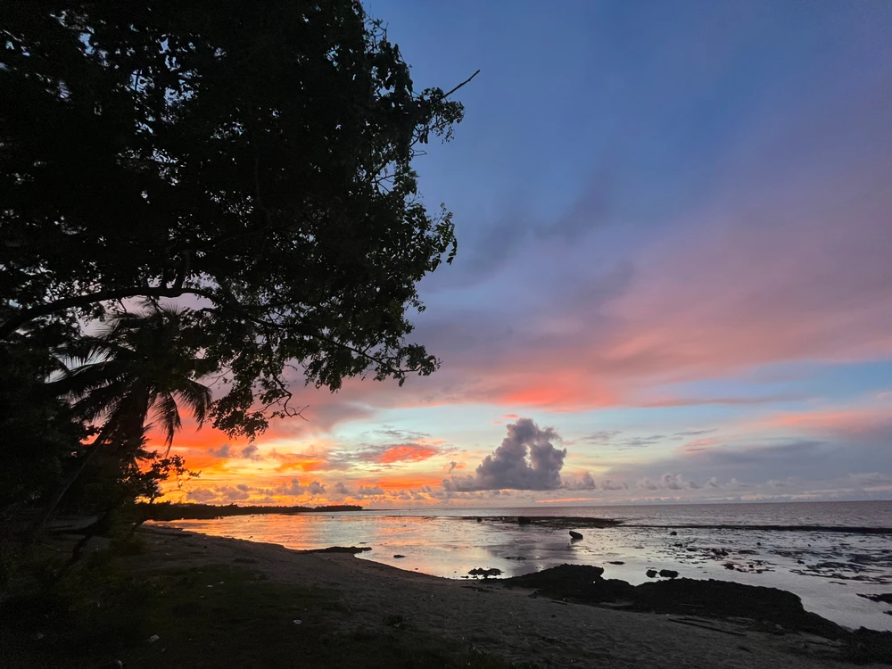 Image uploaded by Roz