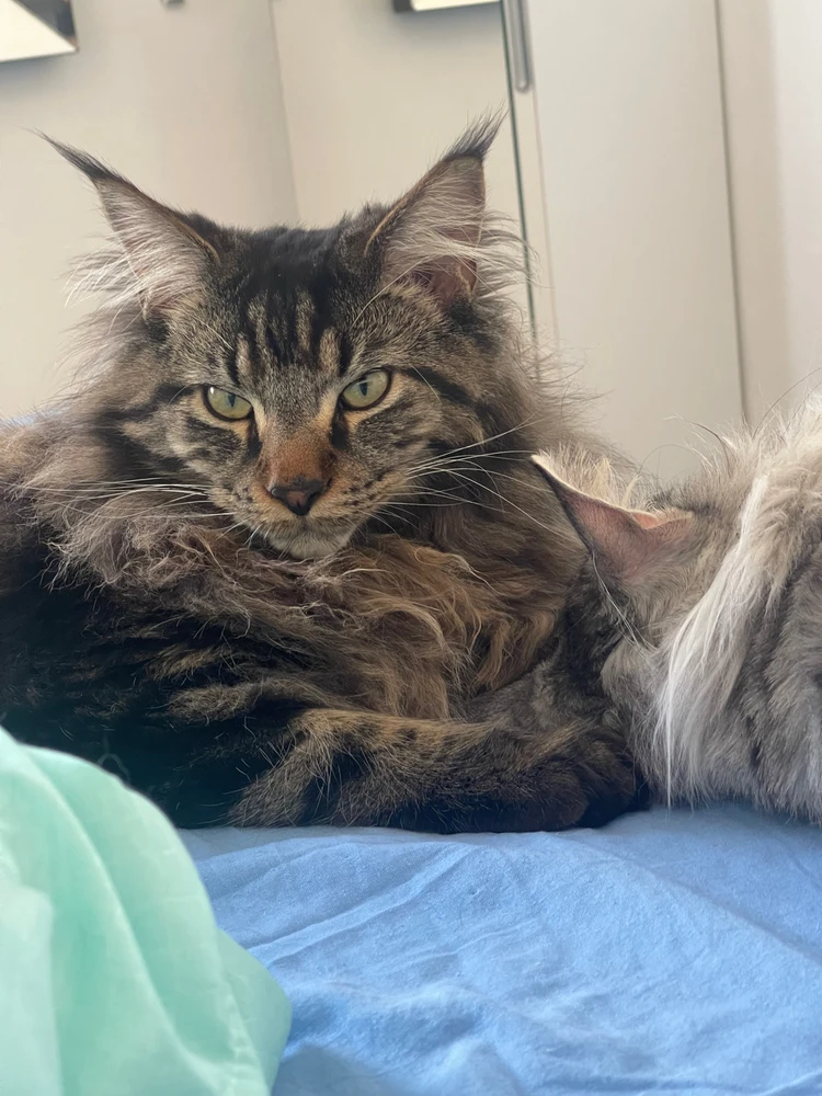 Immagine caricata da Marco