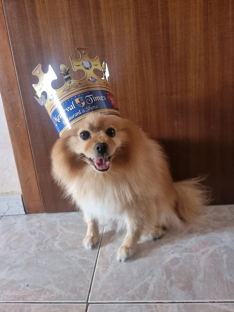 Immagine caricata da Marco