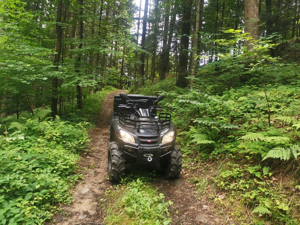 Zdjęcie dodane przez Invis