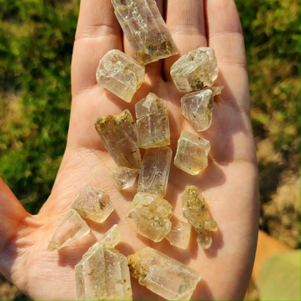 Image uploaded by Oli