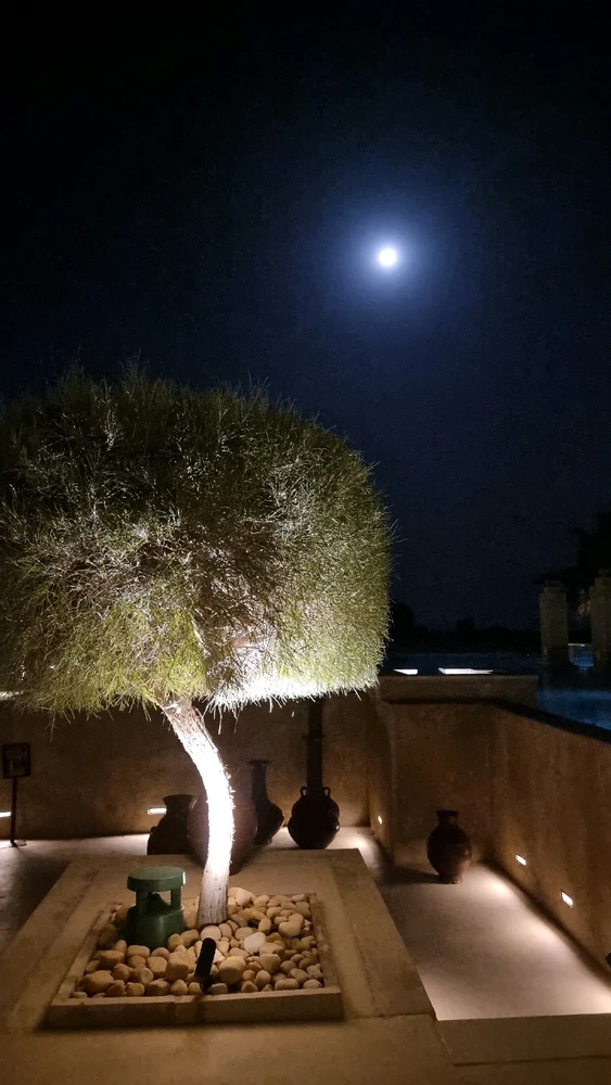 صورة رفعها Chaudhary