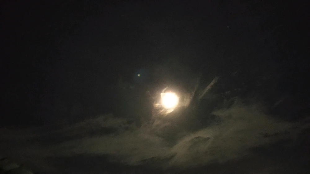 Gambar diunggah oleh shiranui