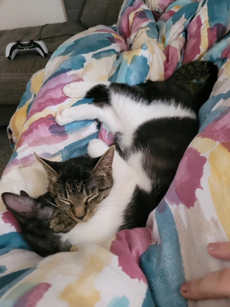 Bild hochgeladen von Lisa