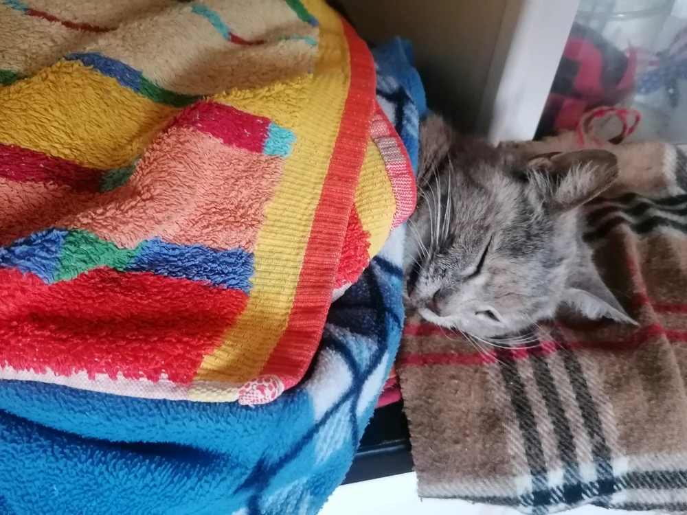 Immagine caricata da Antonio