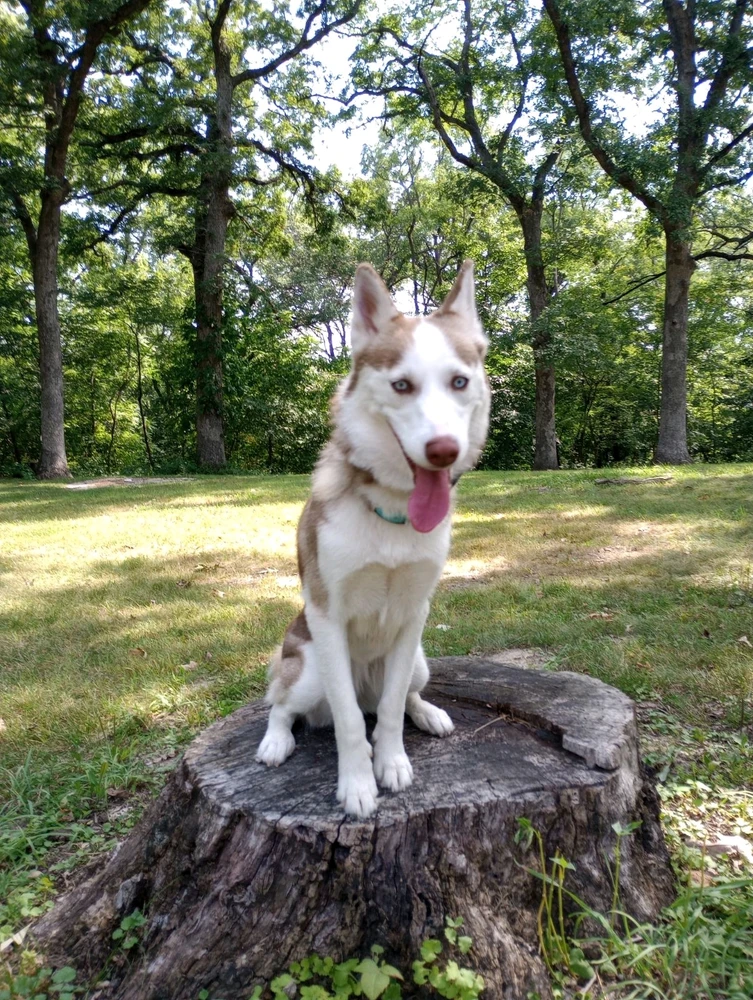 Image uploaded by Eric