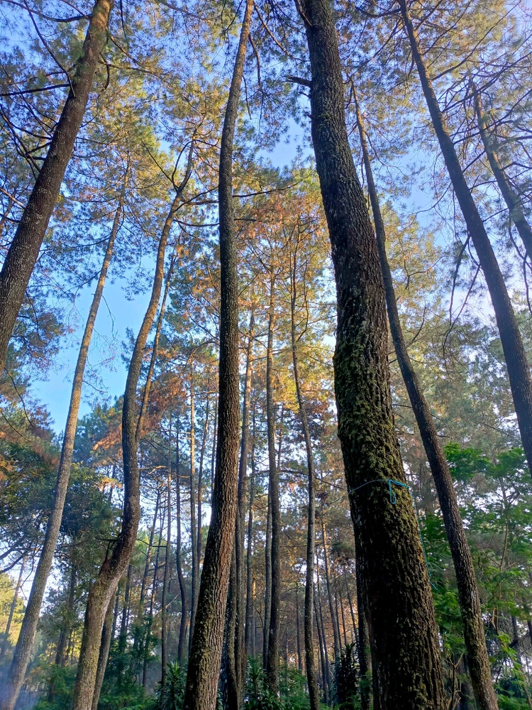 Gambar diunggah oleh Dendi Nuryana