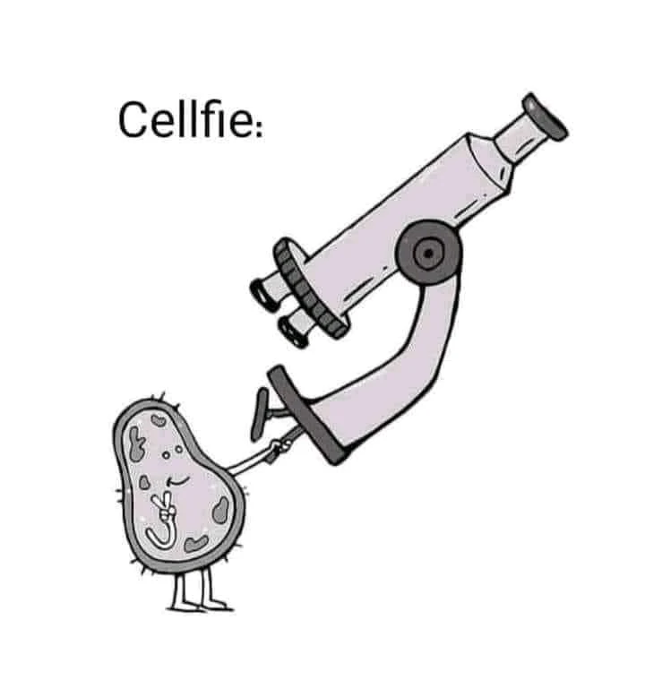 Image uploaded by Alex