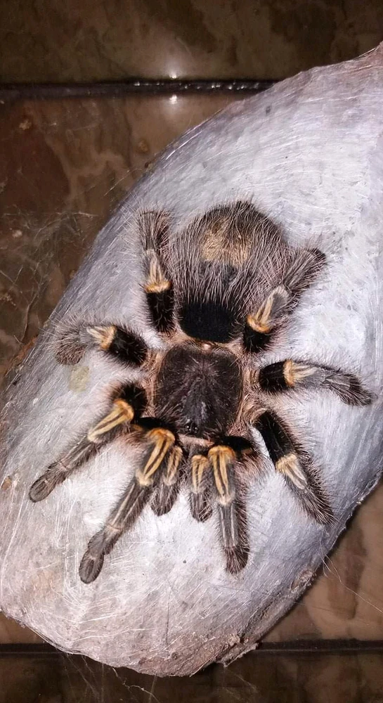 Image uploaded by Rachel