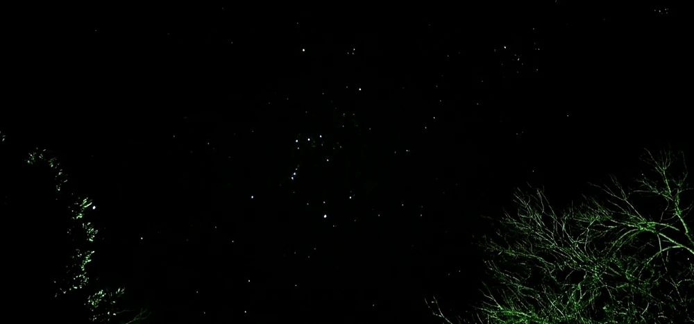 Image uploaded by Andy