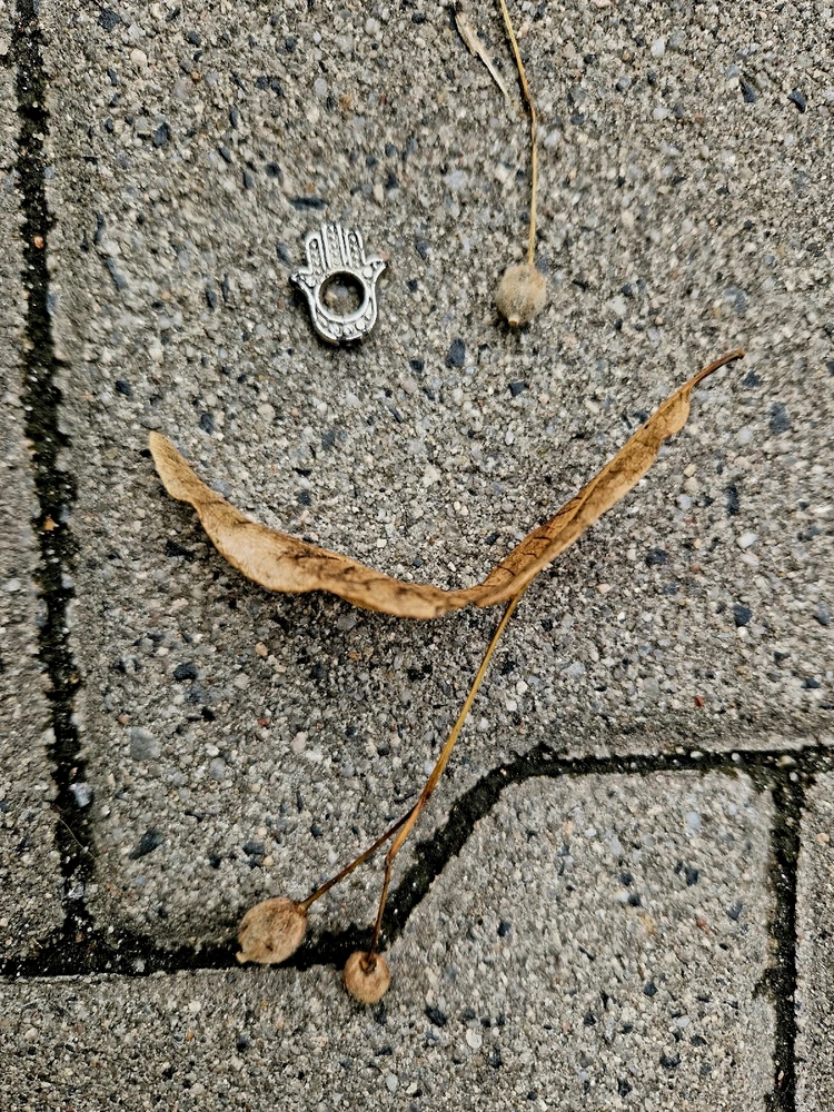 Zdjęcie dodane przez Marcin