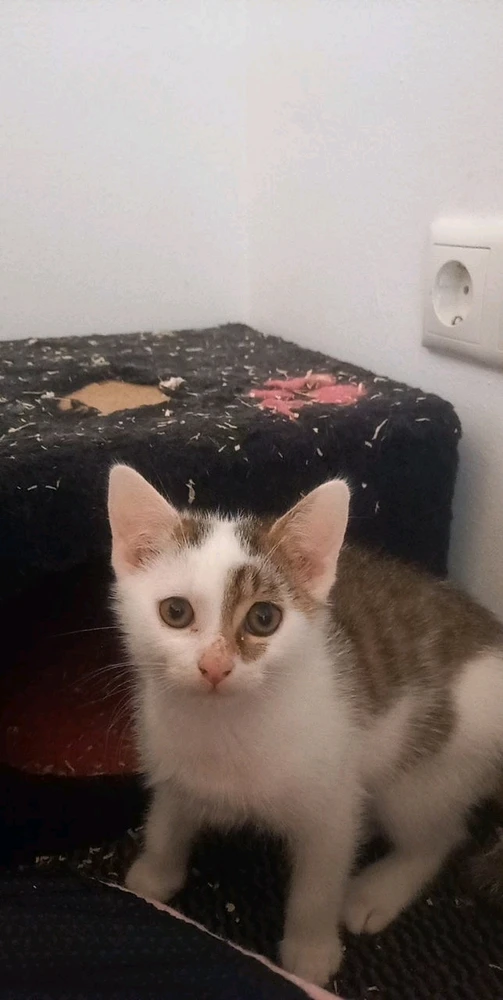 Bild hochgeladen von Maria