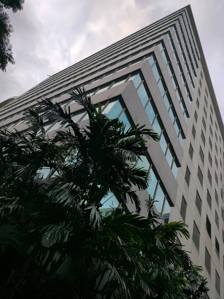 Image uploaded by Hameed Aly