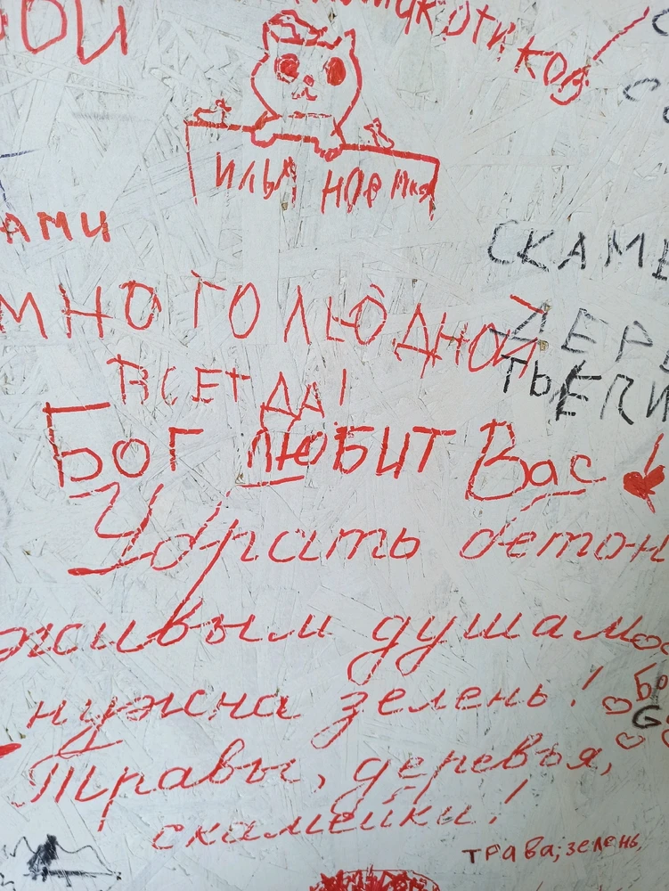 Фото загрузил Ольга