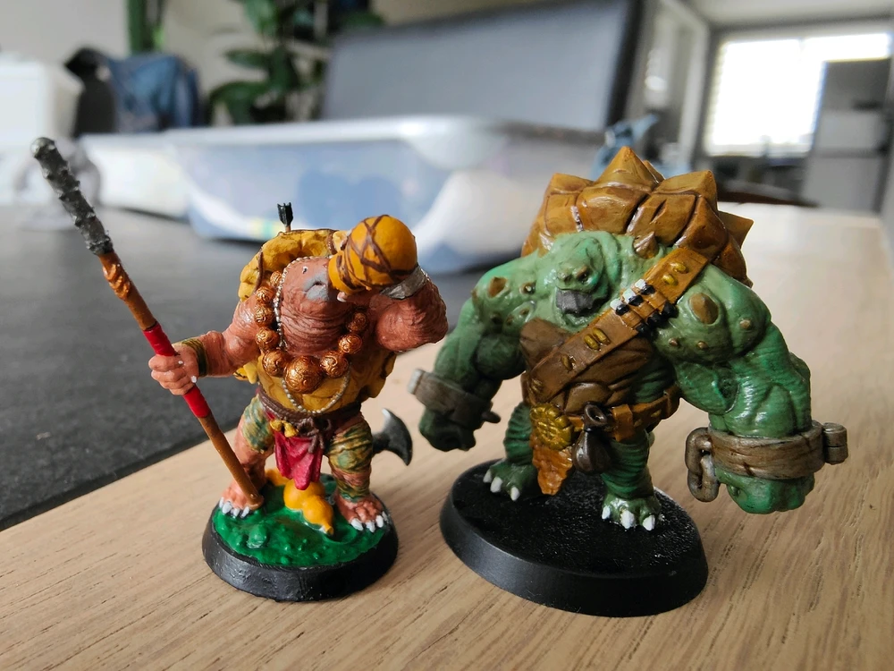 Monk & Barbarian Tortle