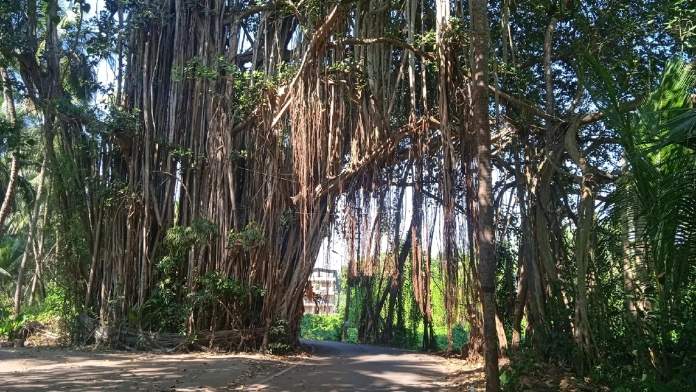 Фото загрузил Yan Taway