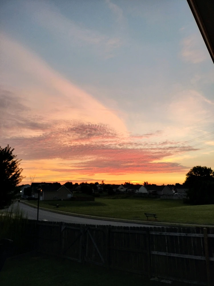 Image uploaded by Bel