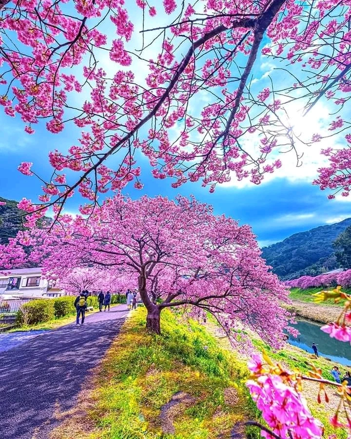 Imagen subida por ANTARES