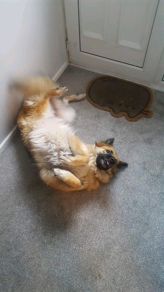 Image uploaded by Joel