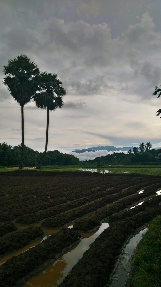 Image uploaded by Lithin