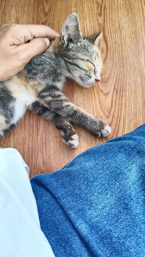 Gambar diunggah oleh Bie Bie