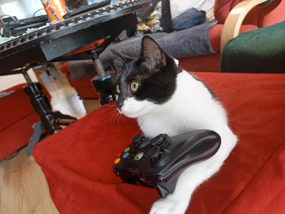 Image uploaded by Wiktoria 🐝