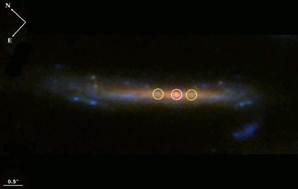 Image uploaded by Luis