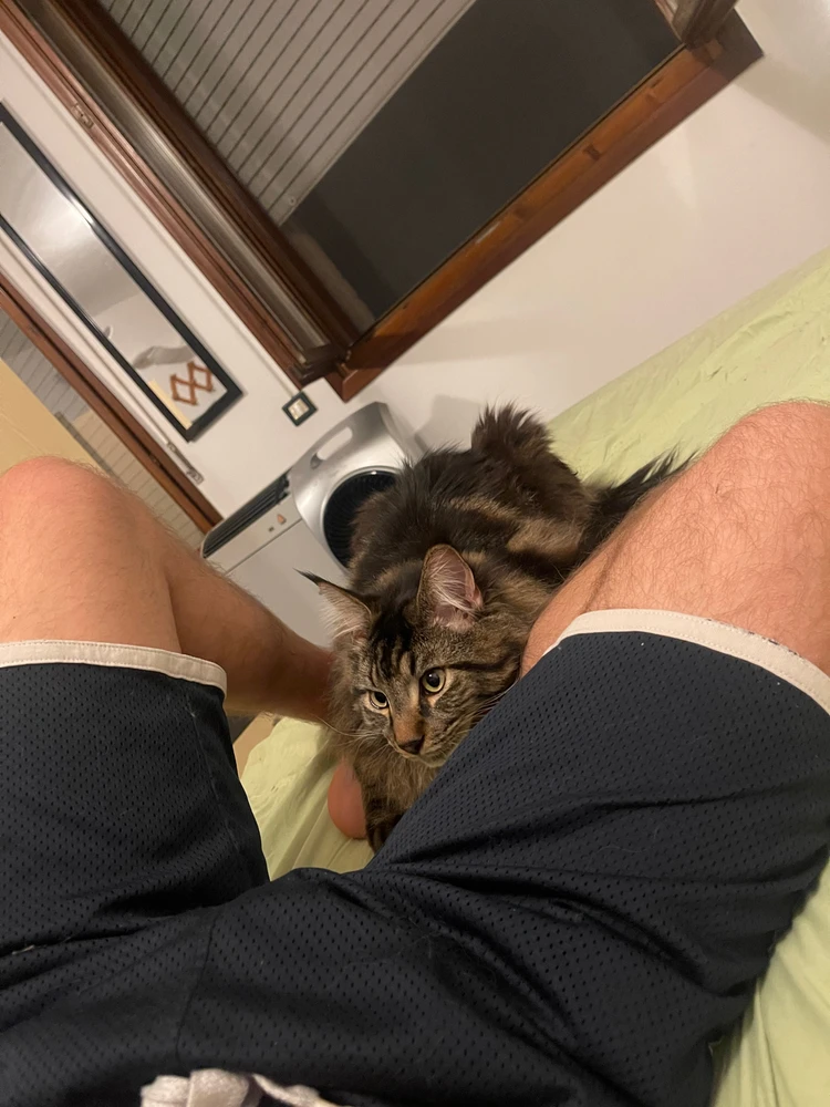 Immagine caricata da Marco